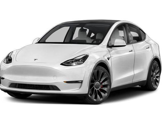 TESLA MODEL Y 2023 7SAYGDEF3PF808909 image